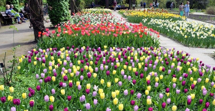10. Bücherbörse-Botanischer-Garten - 9
