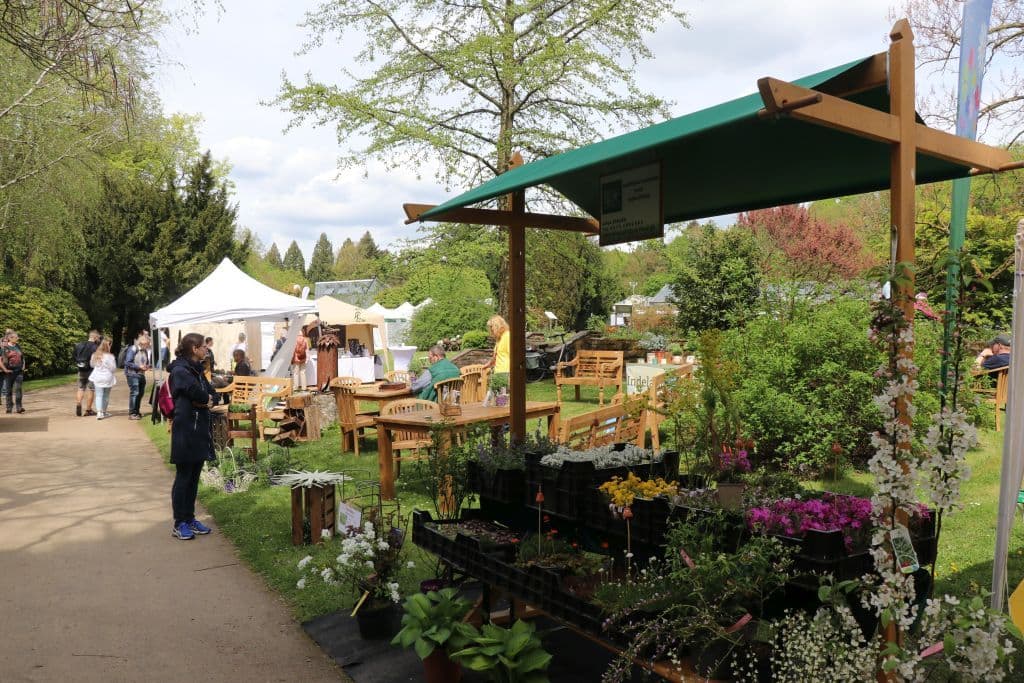 botanischer-garten-blumen-tag (14)