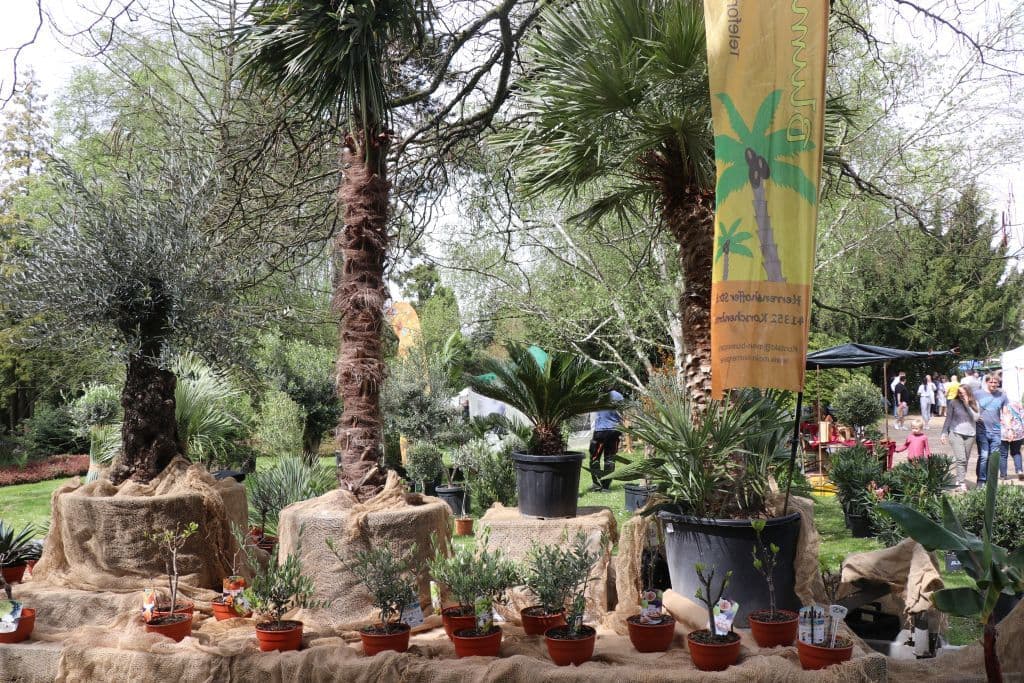 botanischer-garten-blumen-tag (15)