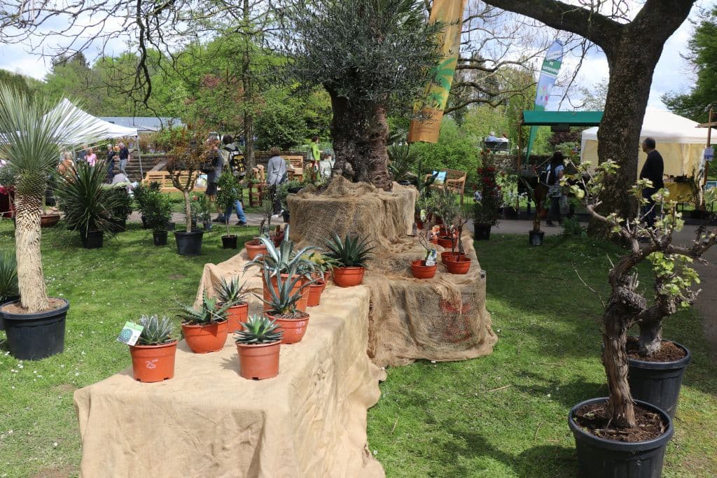 botanischer-garten-blumen-tag (16)