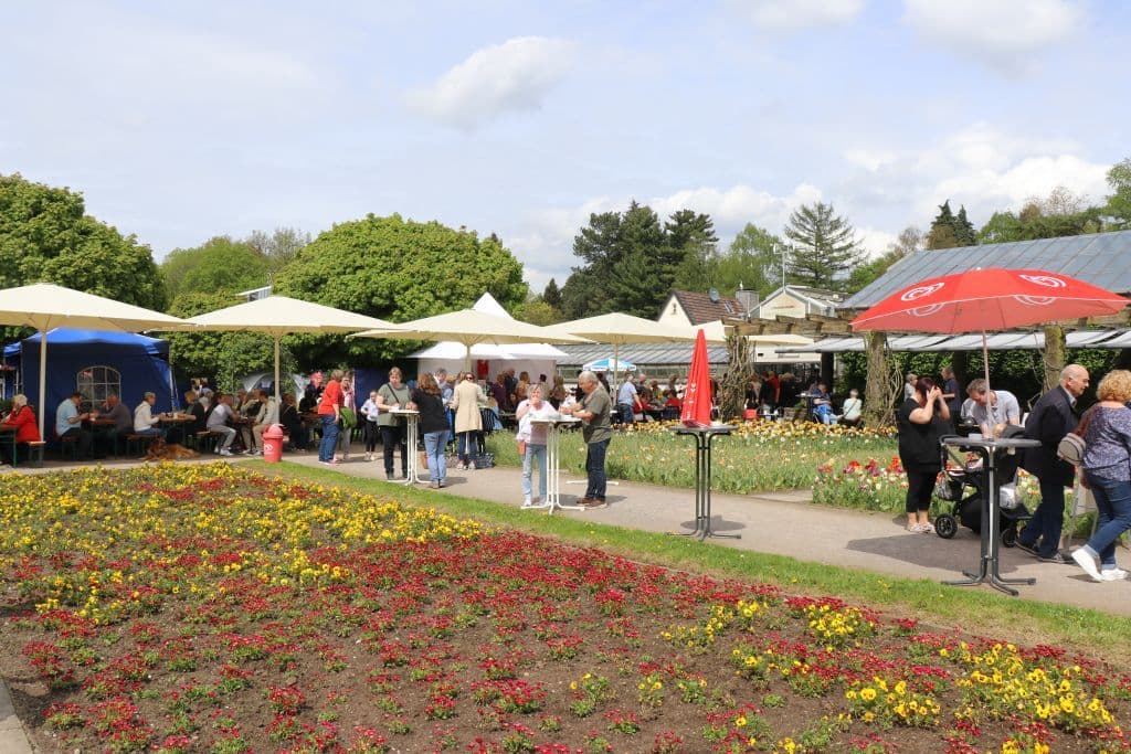 botanischer-garten-blumen-tag (4)