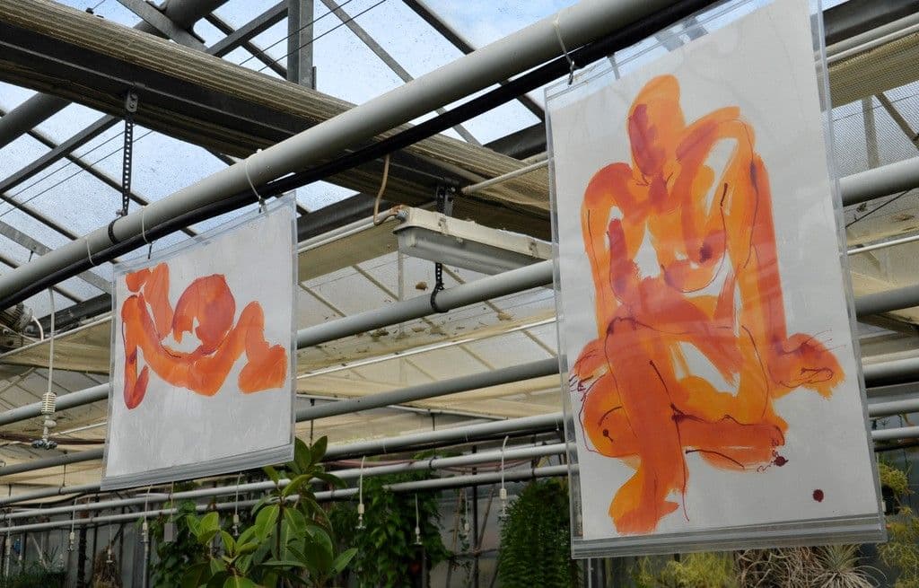 Botanischer-Garten-Kunst-im-Herbst-2025 - 15