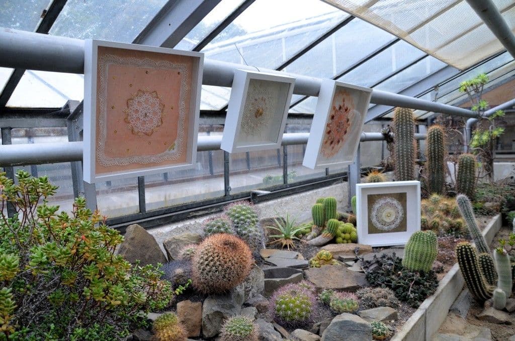 Botanischer-Garten-Kunst-im-Herbst-2025 - 7