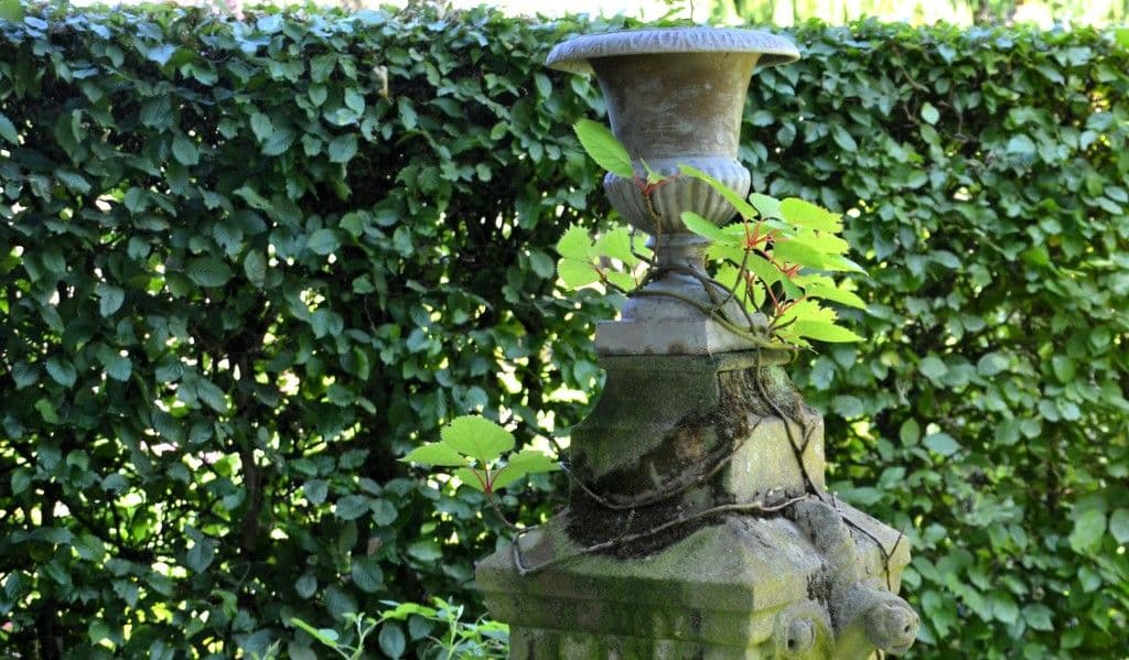 Bummel-Gartenzimmer-Knotengarten - 10
