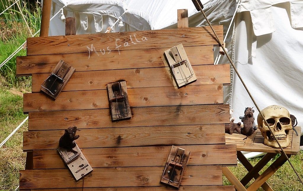 Burgfest Haus Graven - 7