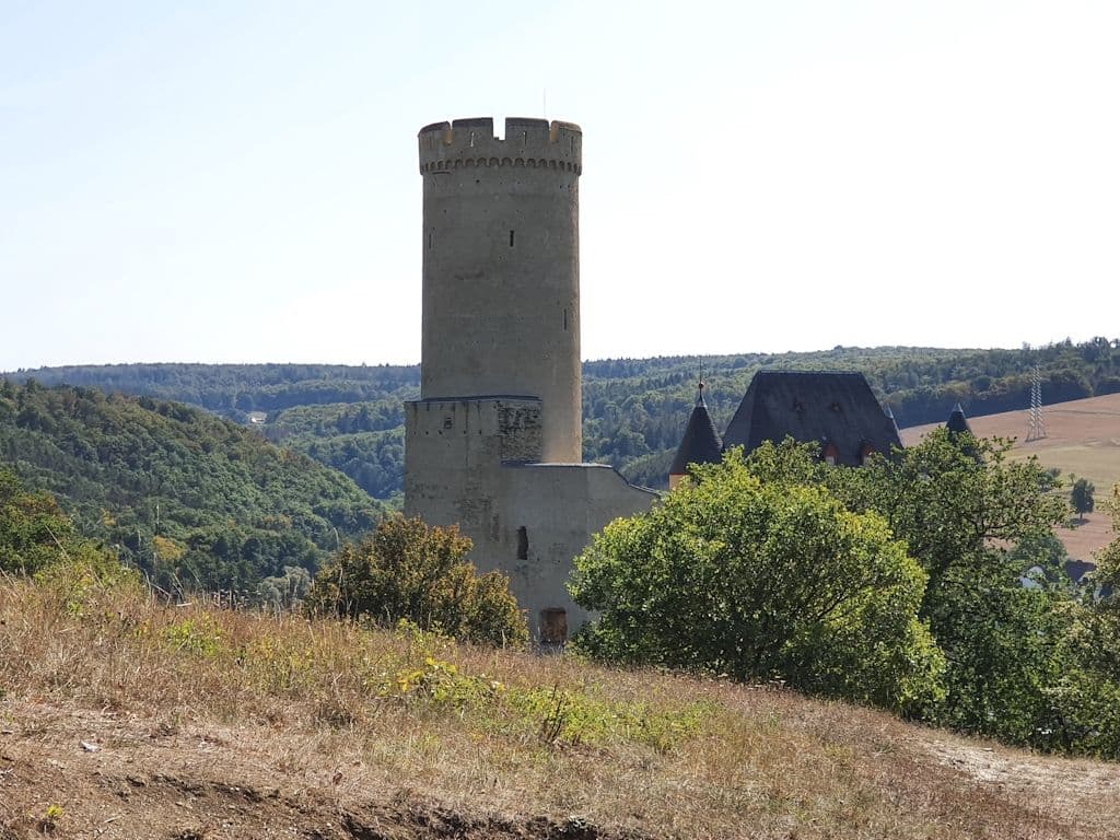 burschwalbach-spaziergang-wald-natur-felder (1)