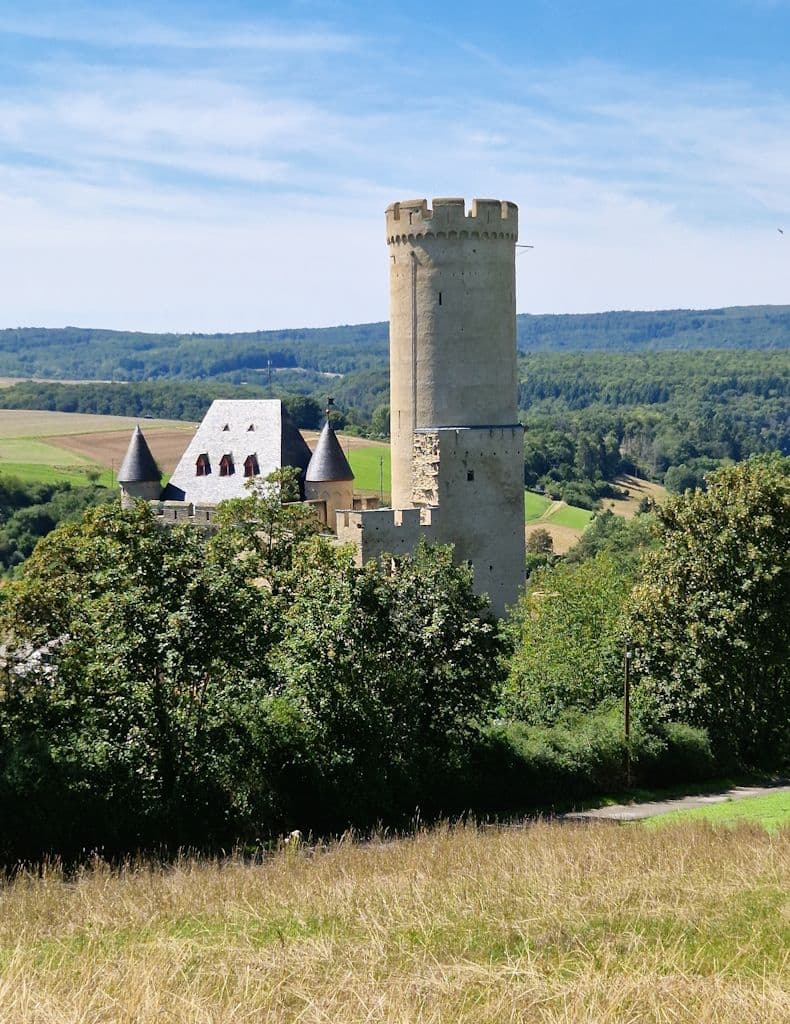 burschwalbach-spaziergang-wald-natur-felder (10)