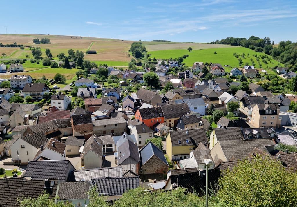 burschwalbach-spaziergang-wald-natur-felder (3)