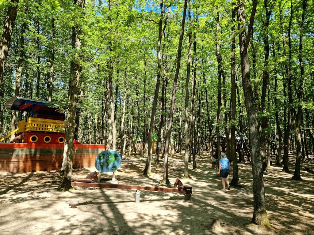 burschwalbach-spaziergang-wald-natur-felder (6)