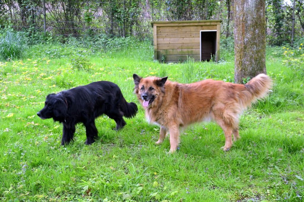 Clooney und Belice - 4