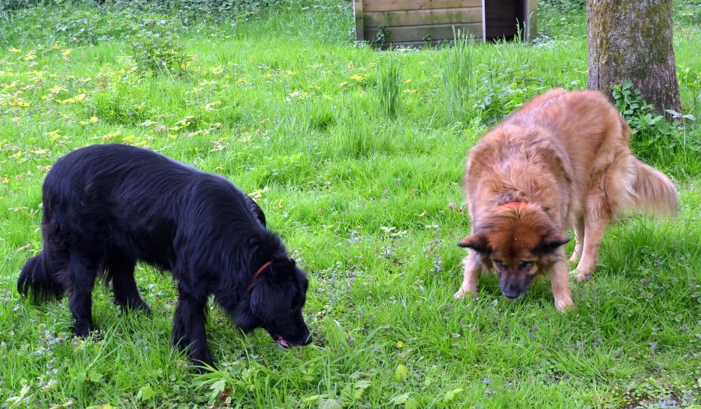 Clooney und Belice - 7