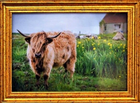 Einfach tierisch - 9