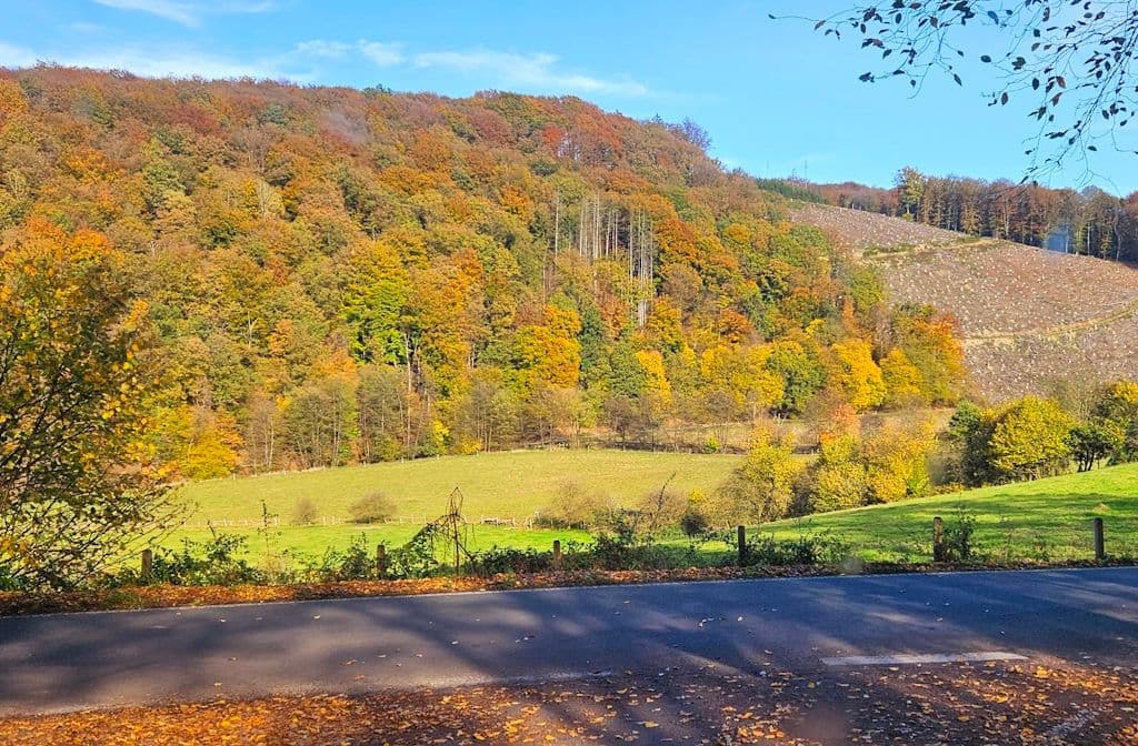 ennepe-huelserbecktal-natur (15)