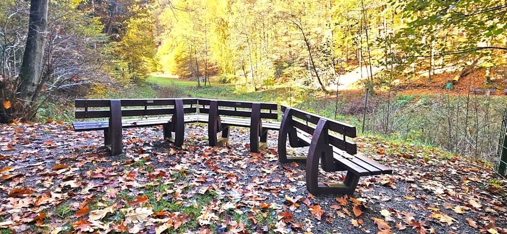 ennepe-huelserbecktal-natur (7)