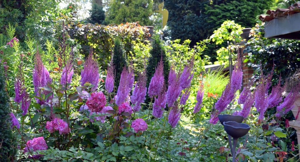 Garten-Ulbrich-Barockgarten - 14