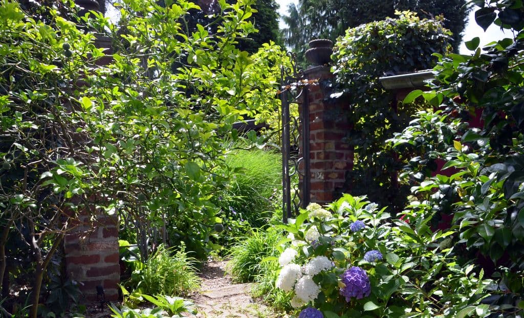 Garten-Ulbrich-Barockgarten - 6