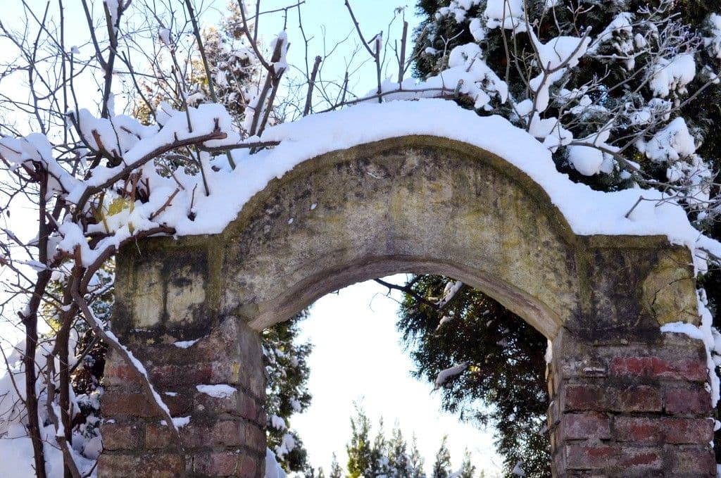 Garten Ulbrich-Klostergarten - 7