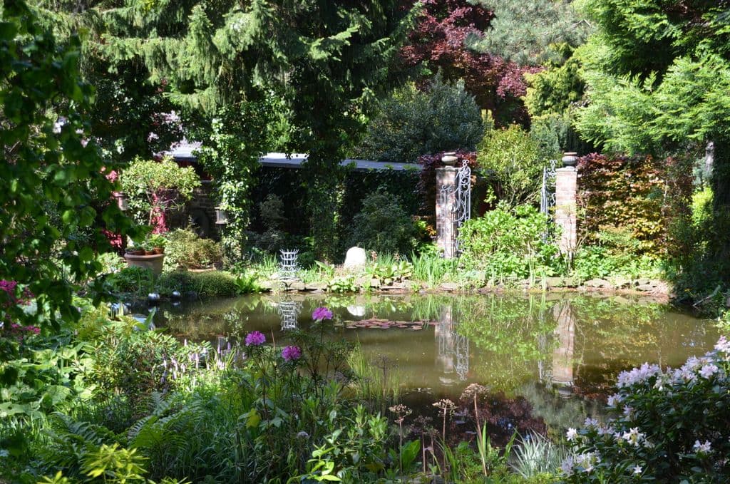 Garten-Ulbrich-Schattengarten - 13