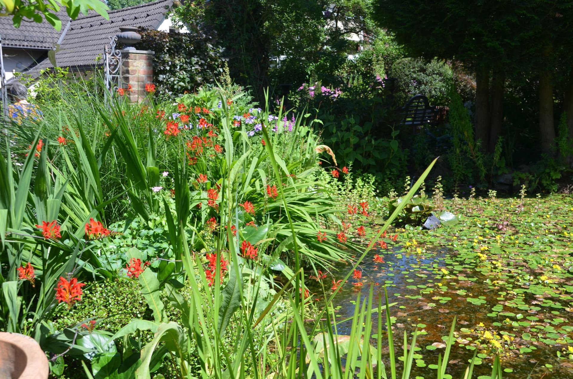 Garten-Ulbrich-Teichgarten - 14
