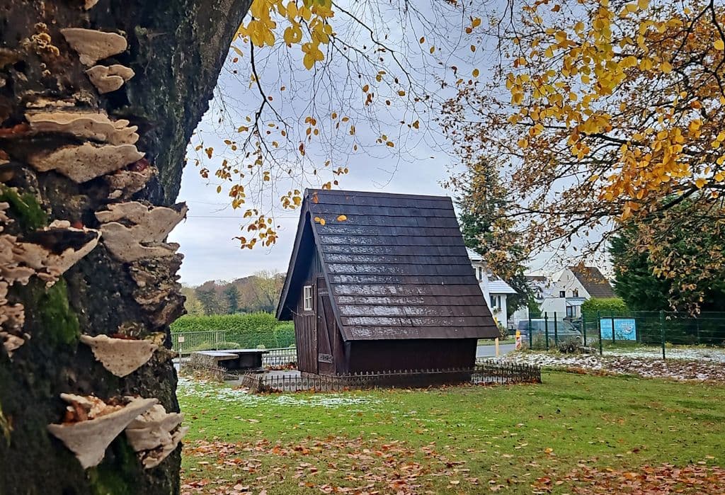 gravenberg-spaziergang (10)