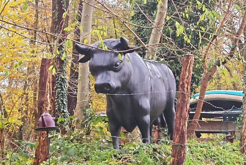 gravenberg-spaziergang (11)