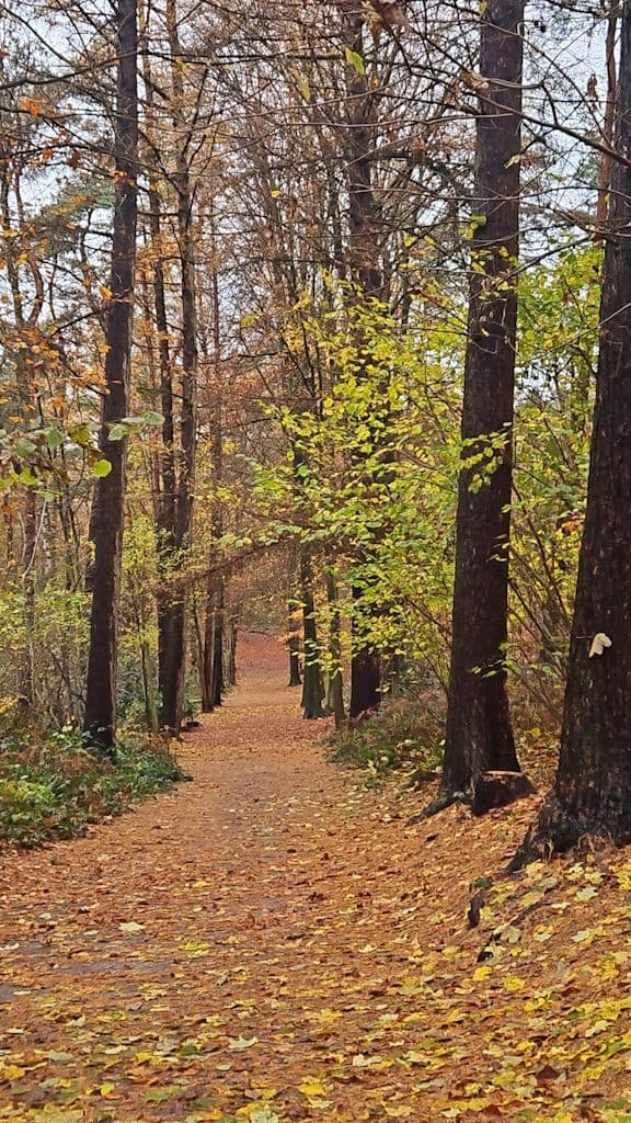 gravenberg-spaziergang (2)