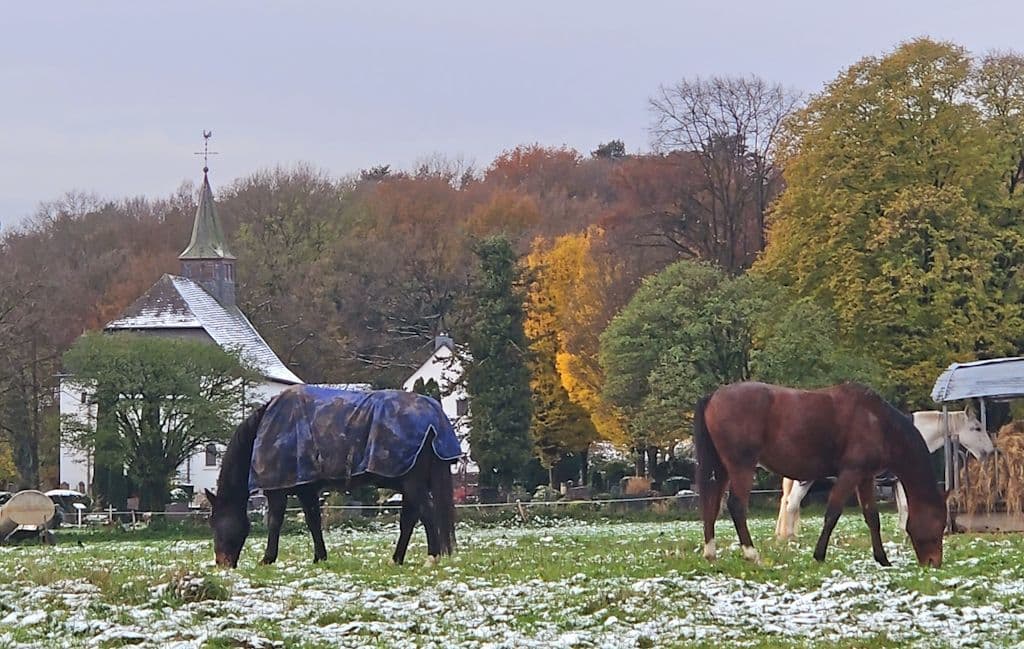 gravenberg-spaziergang (21)
