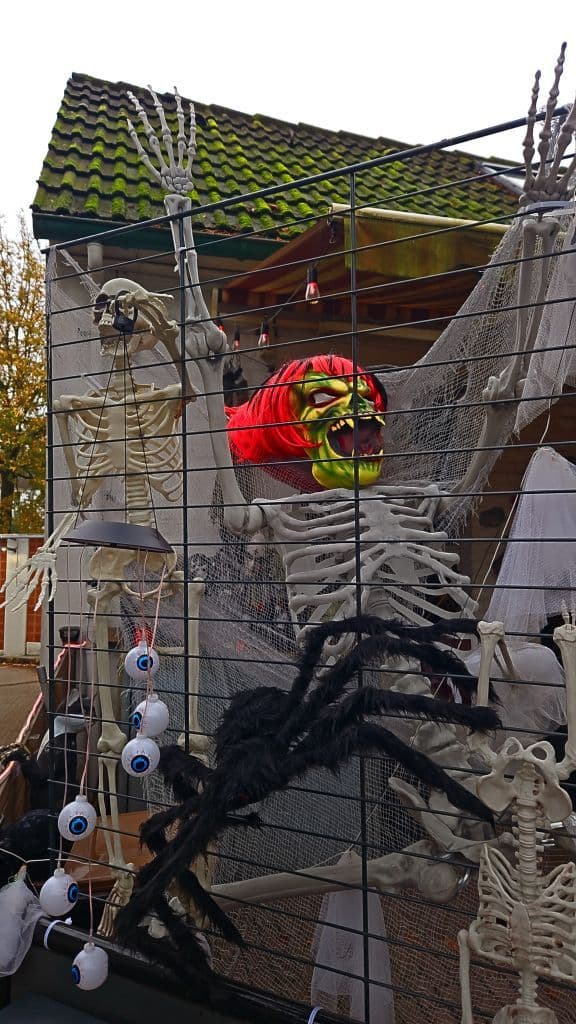 halloween-haan (5)