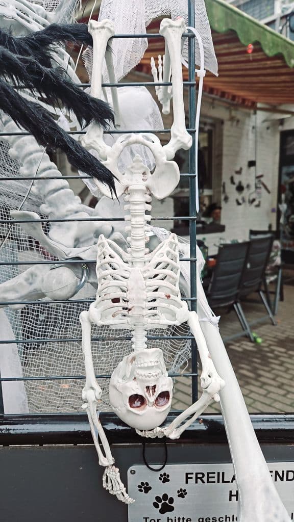 halloween-haan (6)