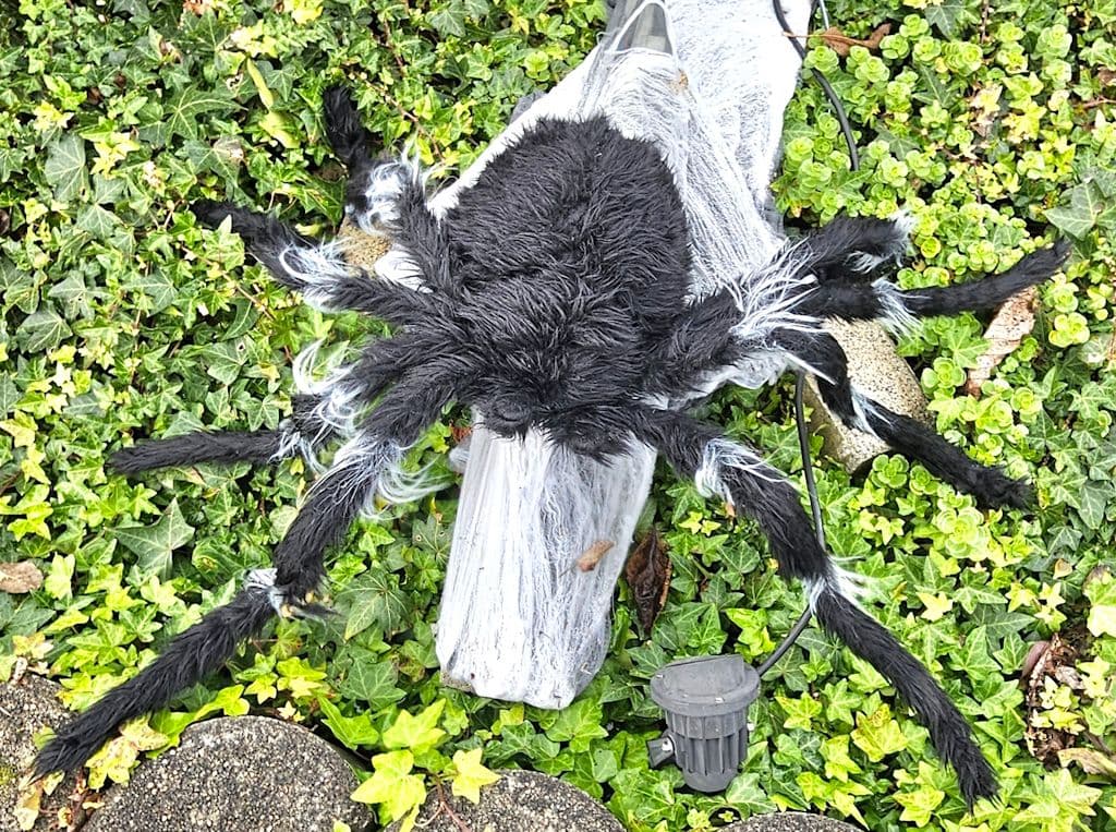 halloween-langenfeld-wiescheid (3)