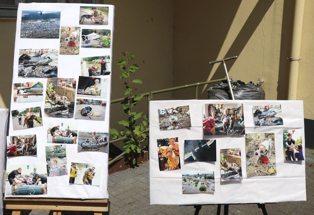 helfende-schirme-ukraine-spenden-aktion (10)