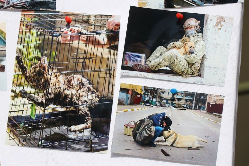 helfende-schirme-ukraine-spenden-aktion (11)