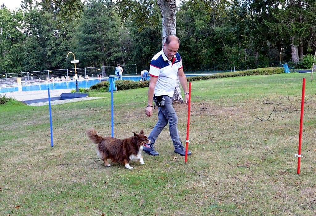 Hundeschwimmen im Heidebad - 30