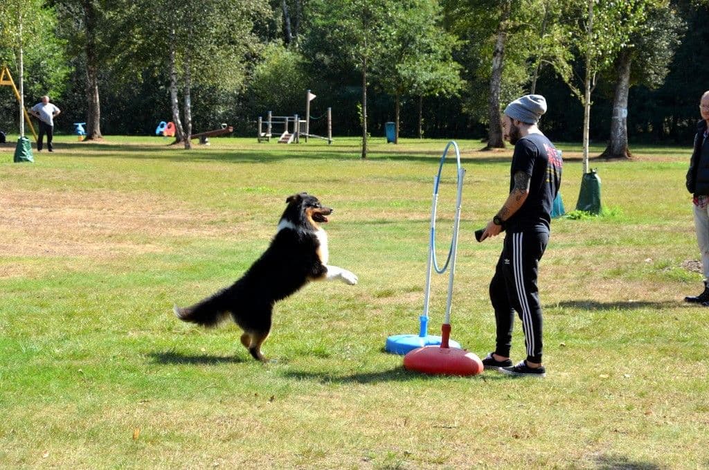 Hundeschwimmen im Heidebad - 37