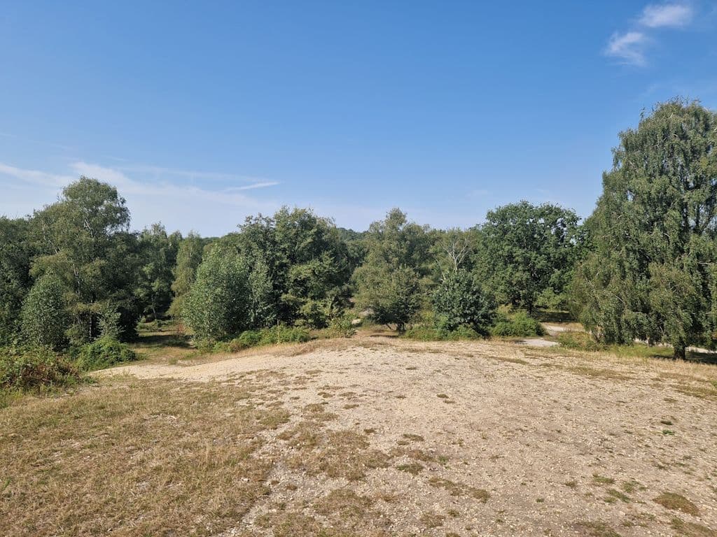 jaberg-hilden-spaziergang (2)