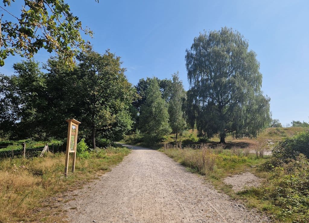 jaberg-hilden-spaziergang (4)