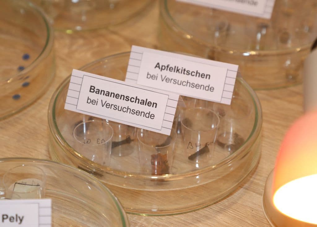 jugend-forscht-regionalwettbewerb-2026 (17)