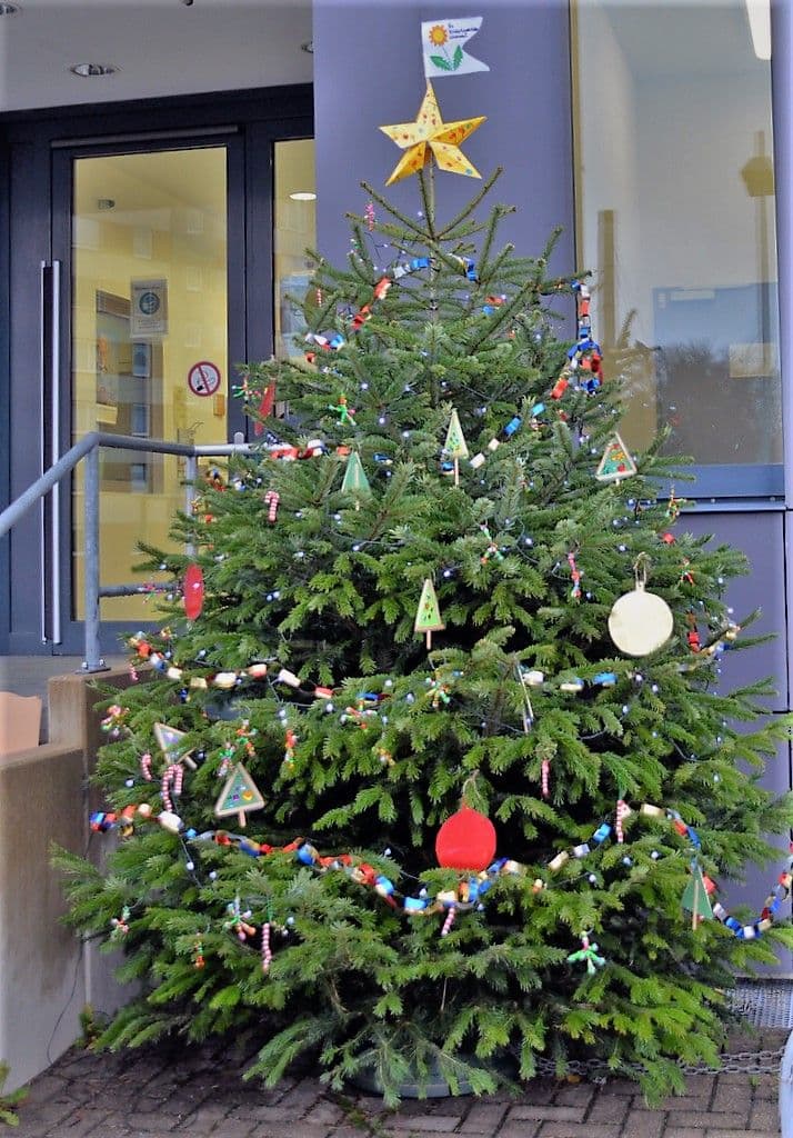 Kita Löwenzahn schmückt Weihnachtsbaum - 6