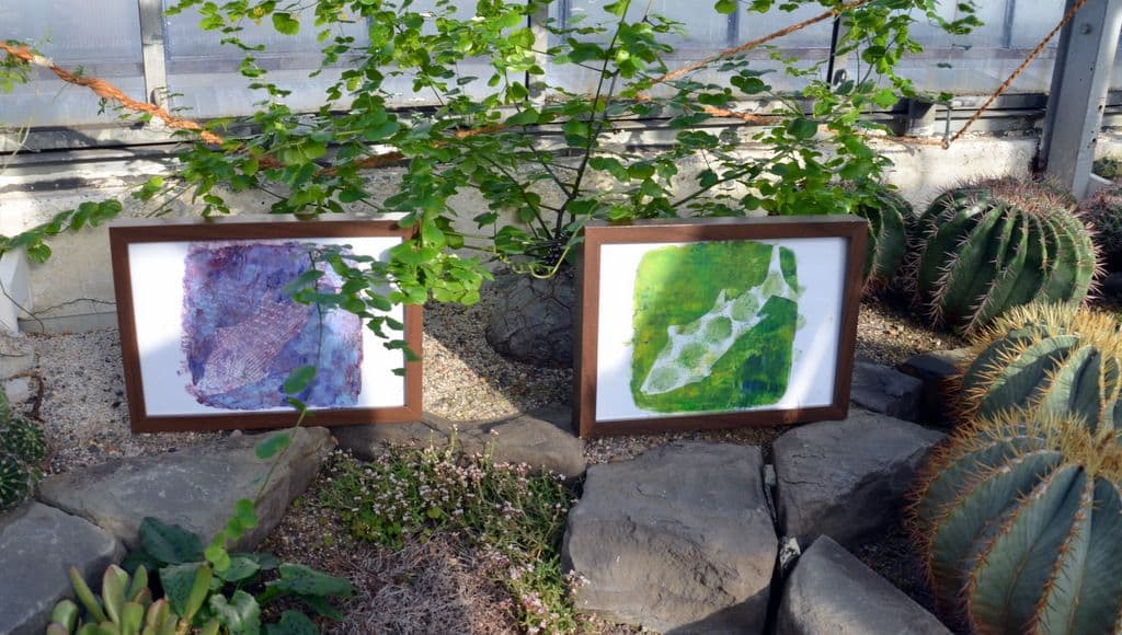 Kunst im Botanischen Garten - 21