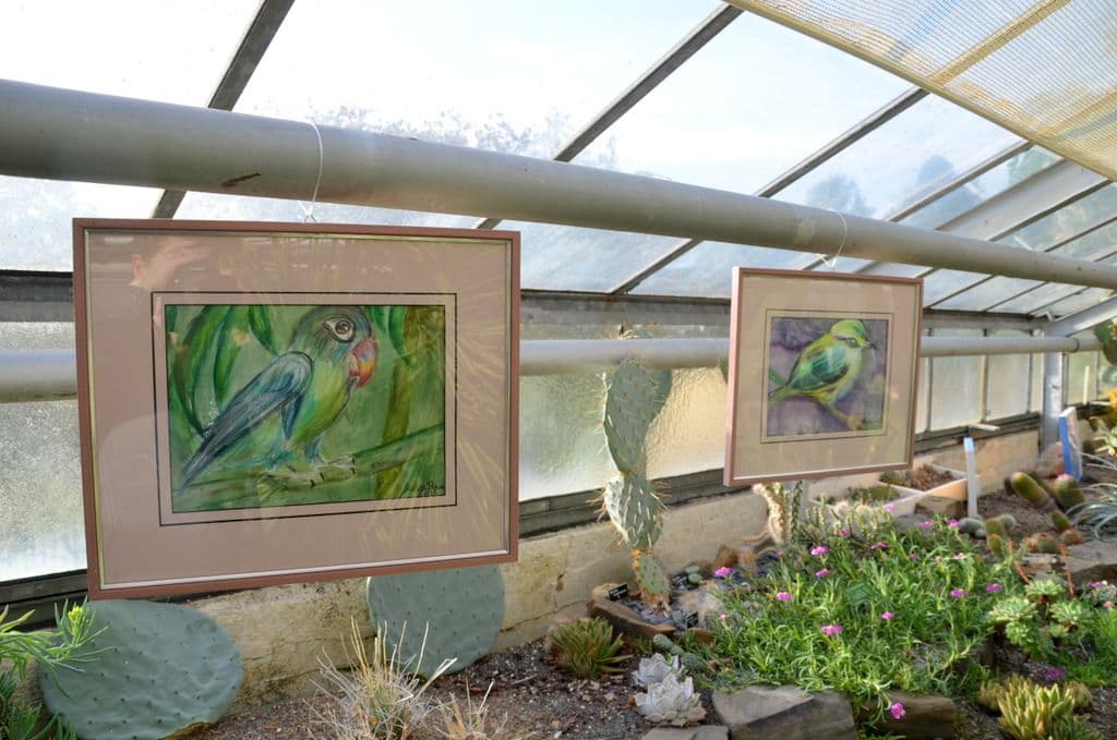 Kunst im Botanischen Garten - 25