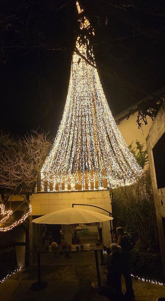 leichlingen-lichterbaum (8)