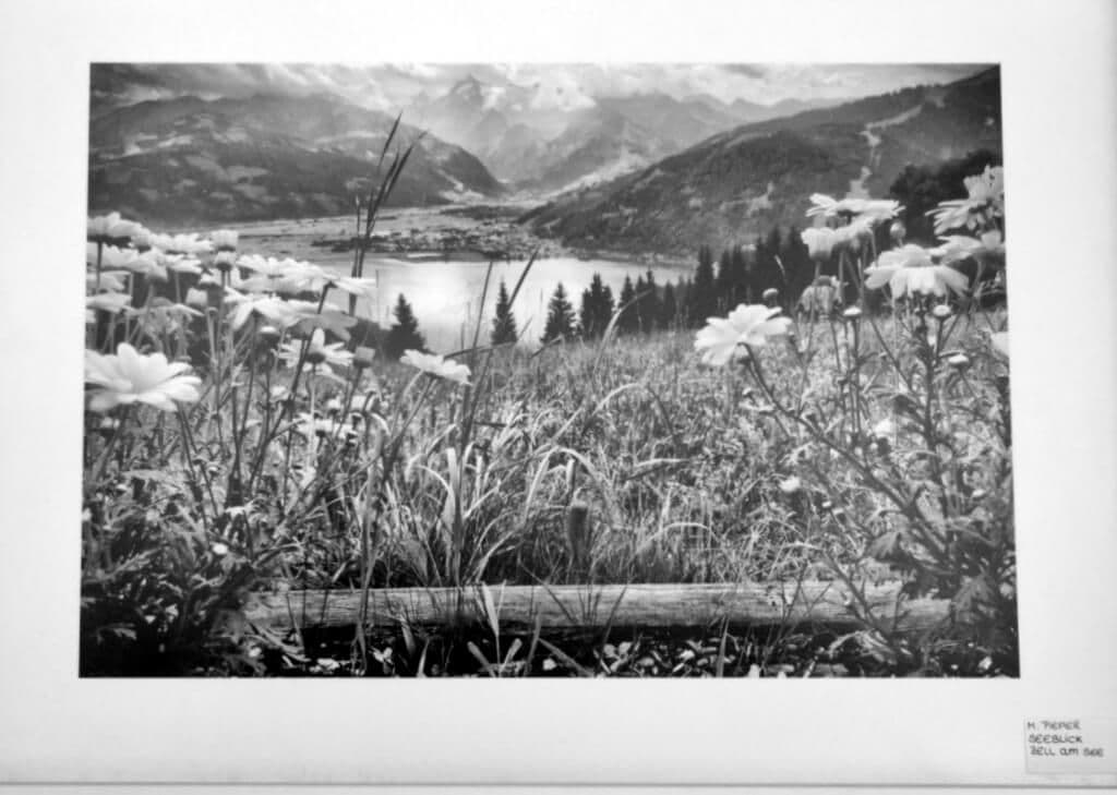 Lieblingsbilder Stadtbibliothek - 7