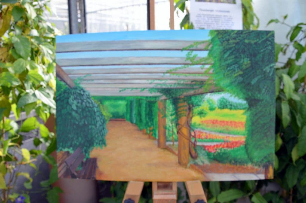 Malkurs Bot. Garten - 7