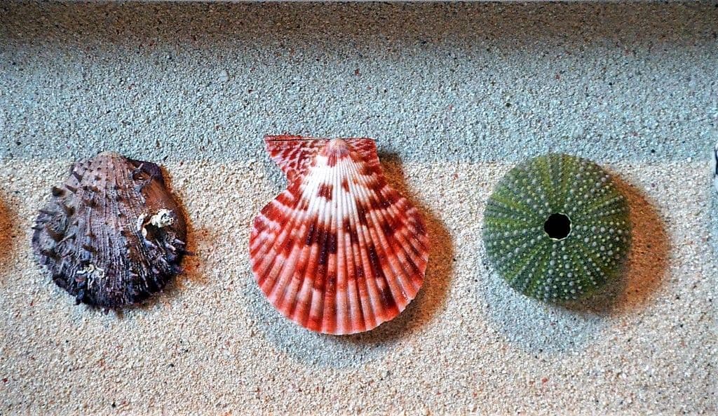 maritime arts - 7