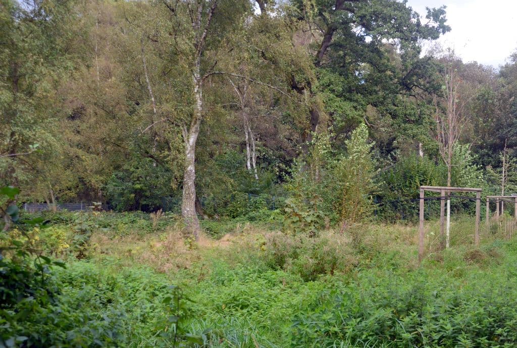 Oskar-Hermine-Emu-Vogelpark - 6