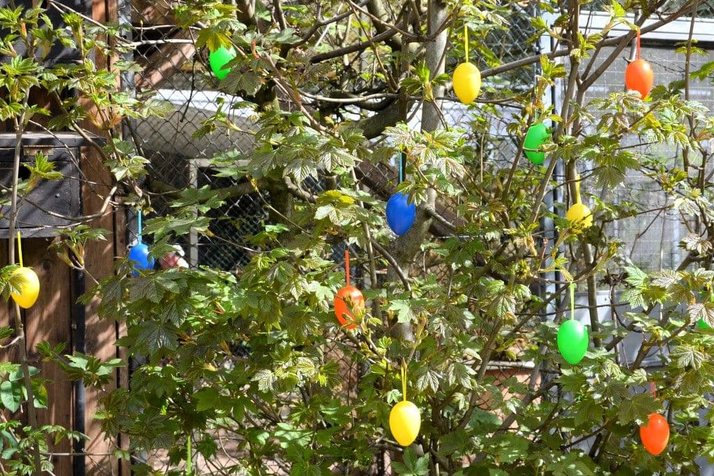 Osterfest-Vogelpark - 11