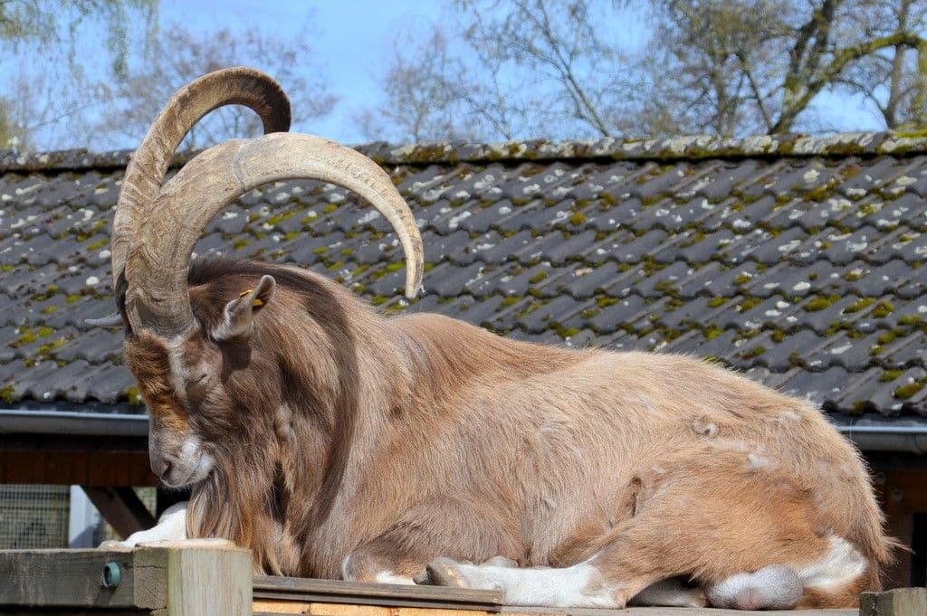 Osterfest-Vogelpark - 9