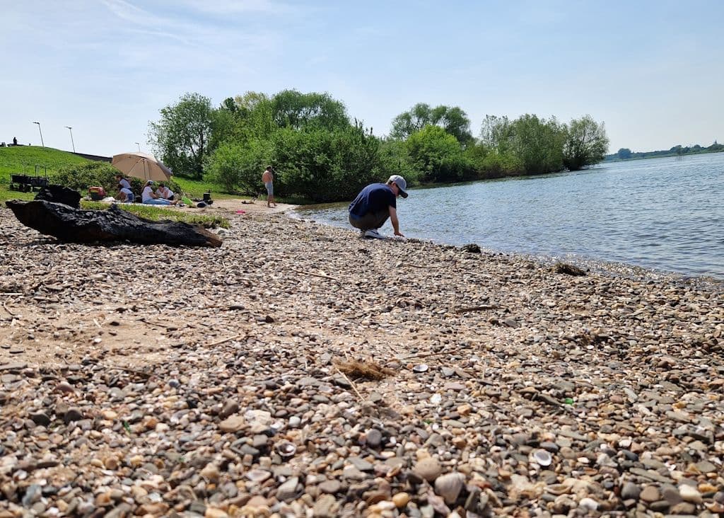 rheinpromenade-monheim-am-rhein (7)