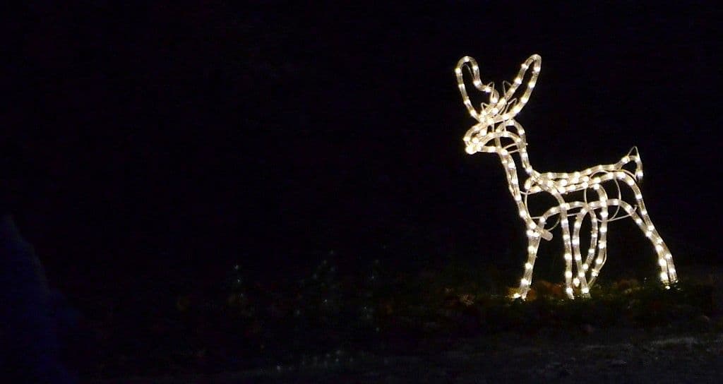 Romantischer Weihnachtsmarkt 2018 - 35