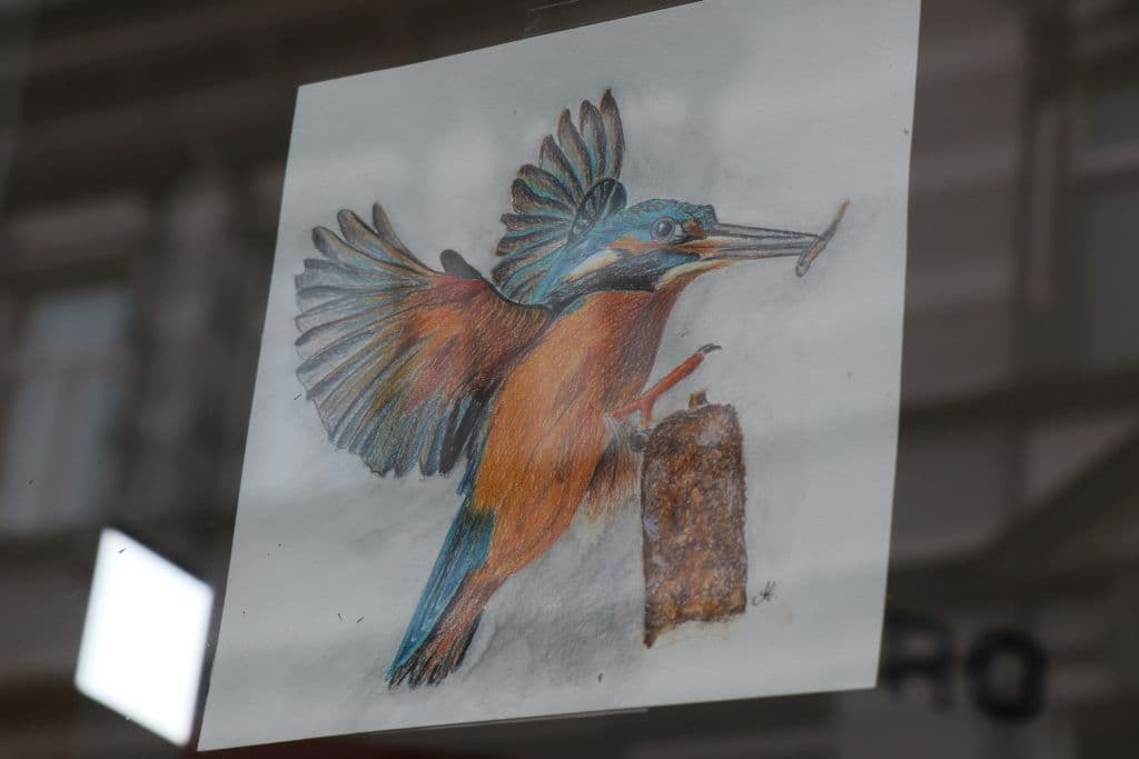 sanitaetshaus-koeppchen-wuppersteine-schaufenster-kunst (11)